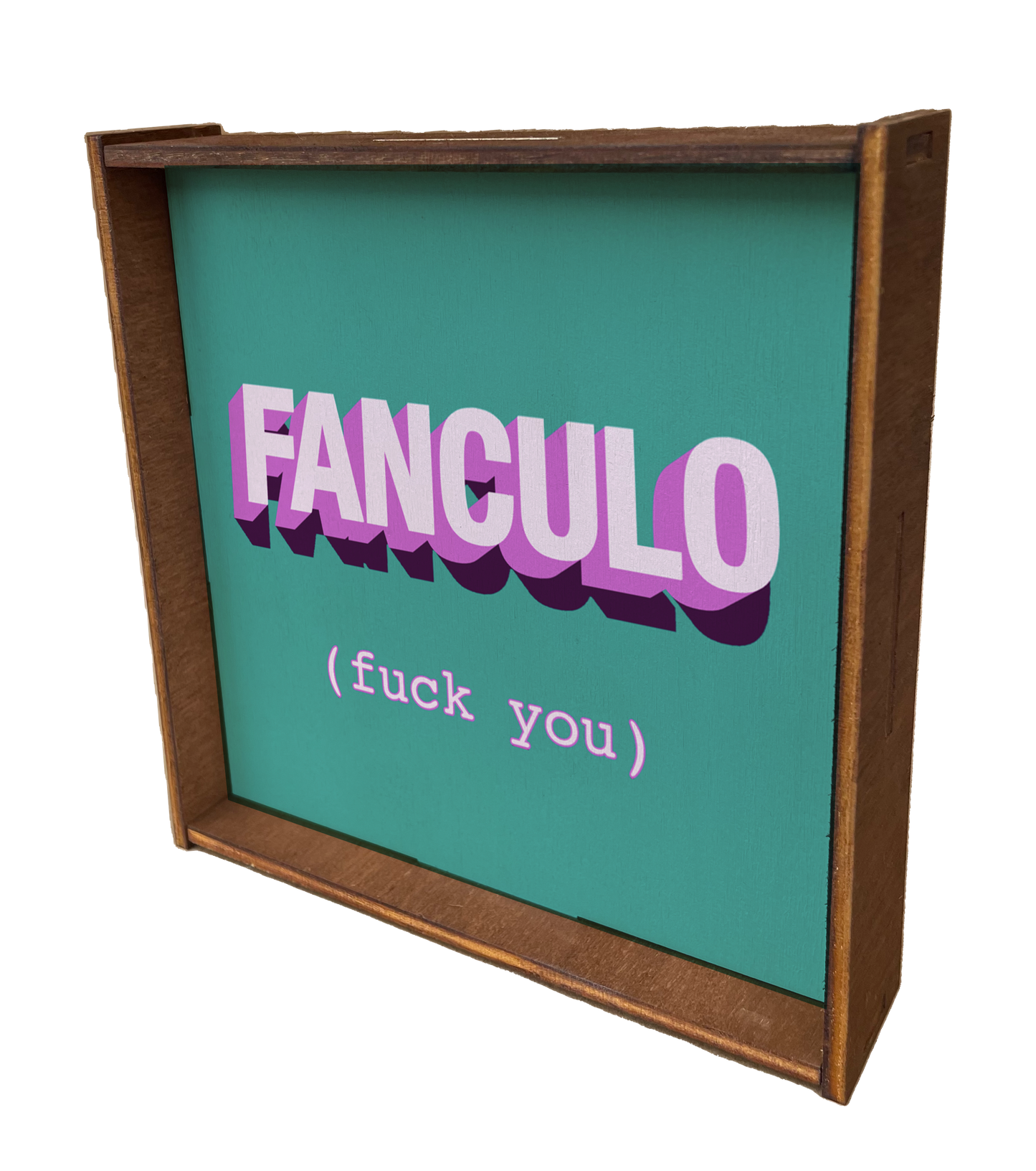 Picture Fanculo